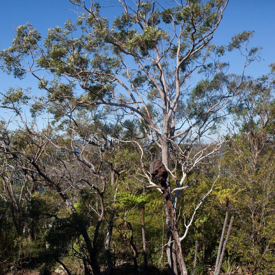 Отель Bannisters Port Stephens Солджерс-Пойнт Экстерьер фото